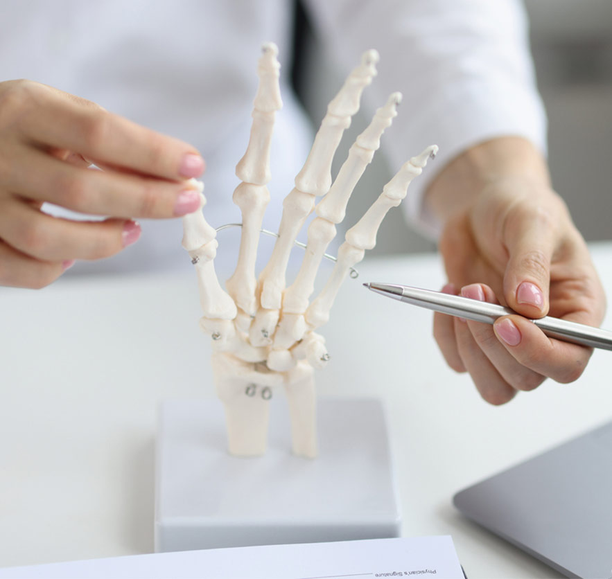 A doctor pointing to the bones in a hand